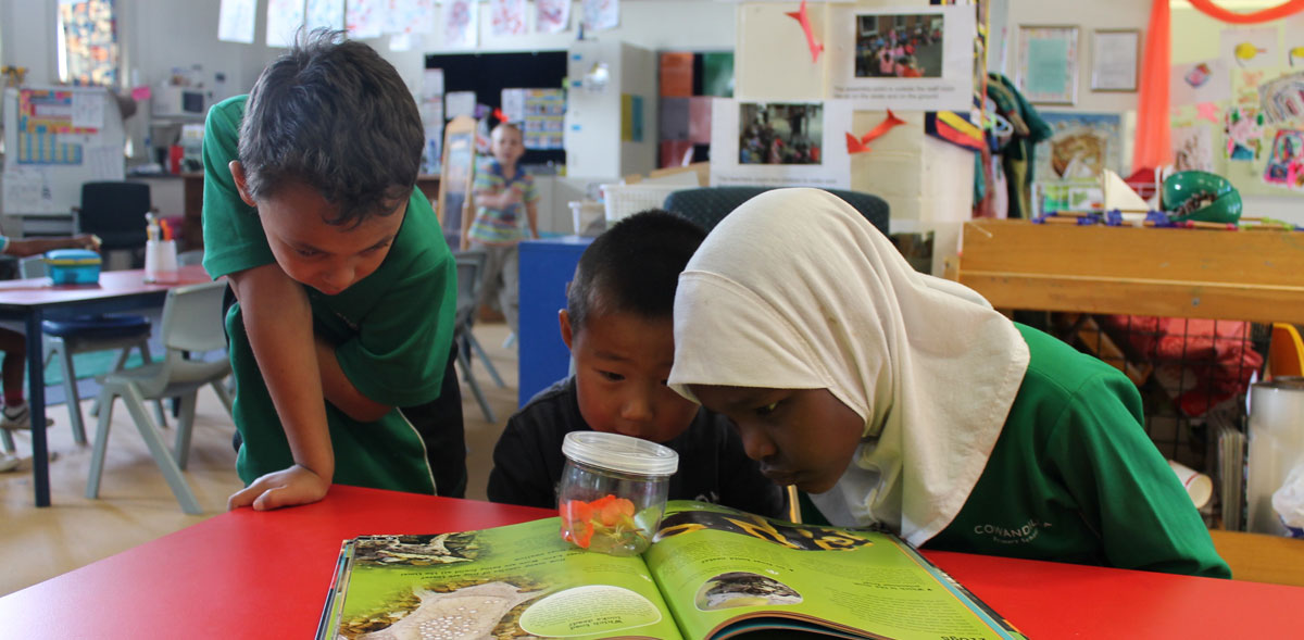 Students inspecting an insect