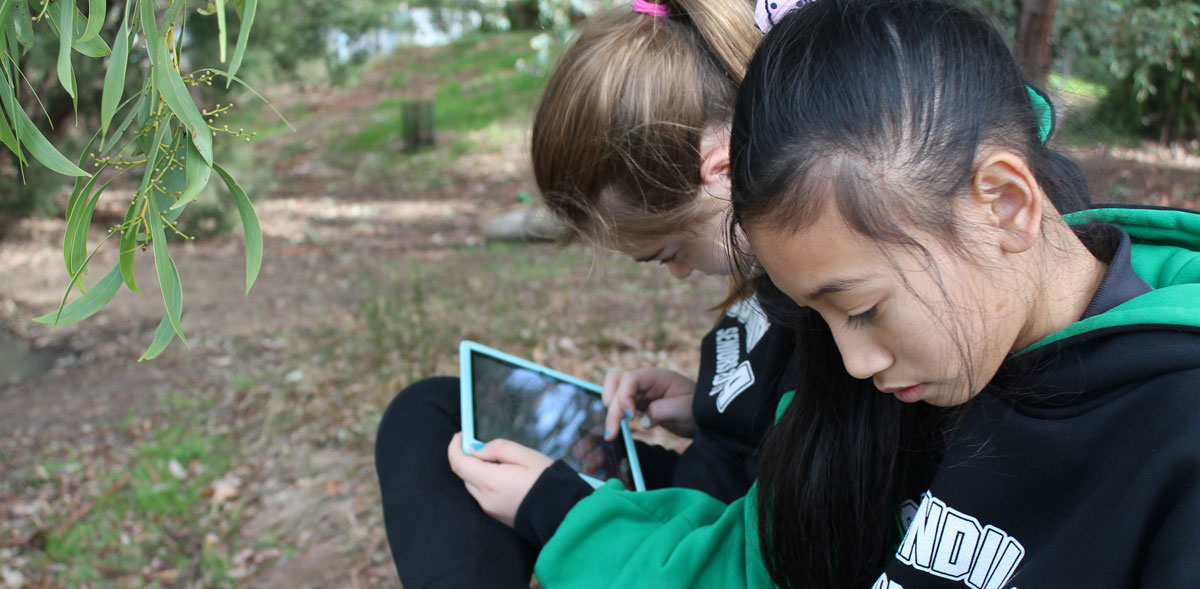 Students using iPads outside